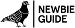 Newbie Guide